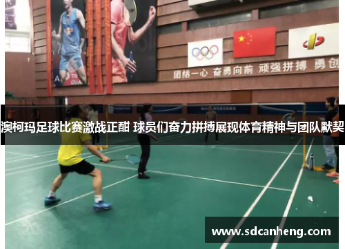 澳柯玛足球比赛激战正酣 球员们奋力拼搏展现体育精神与团队默契